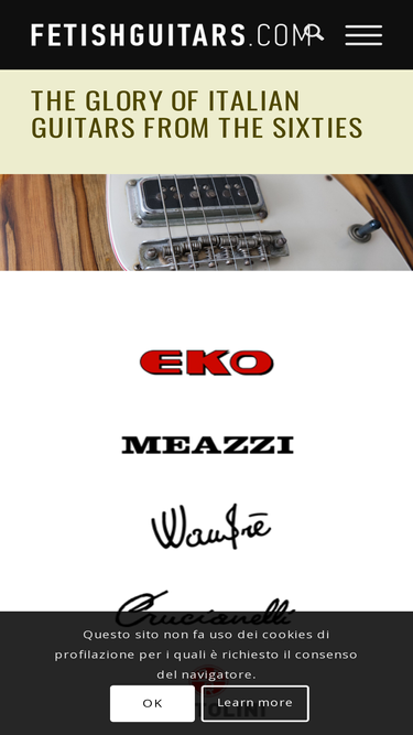 fetishguitars.com