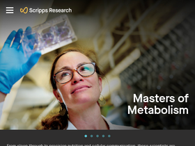 'autodock.scripps.edu' screenshot