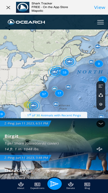 ocearch.org