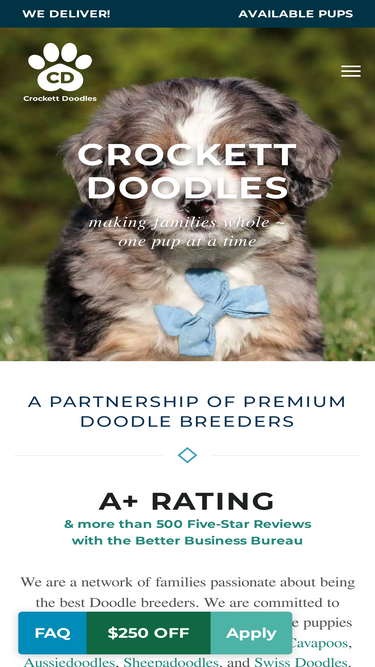 Crockett doodles best sale available puppies