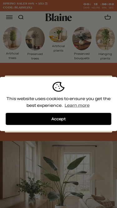 blainebox.com
