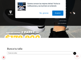 toryvic.com homepage screenshot