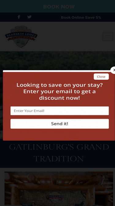 thebearskinlodge.com