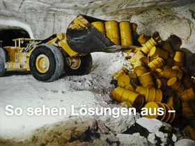 'ews-schoenau.de' screenshot