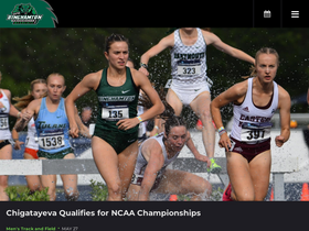 'bubearcats.com' screenshot