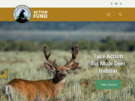 'nwfactionfund.org' screenshot