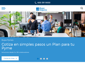 'segurosbupa.cl' screenshot