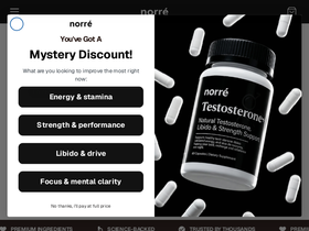 norrelabs.com homepage screenshot