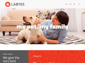 'labyes.com' screenshot
