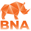 bnastaffing.com