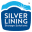 silverliningstorage.in