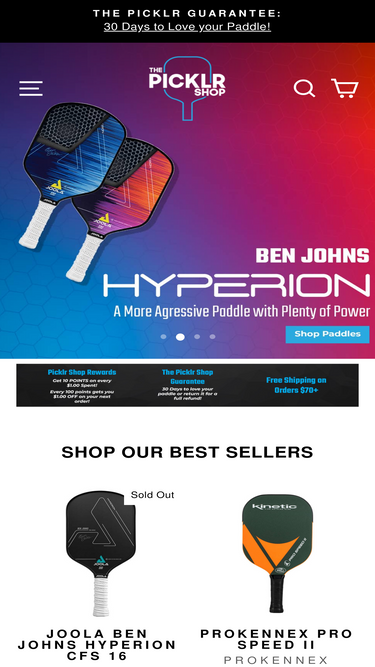 thepicklrshop.com