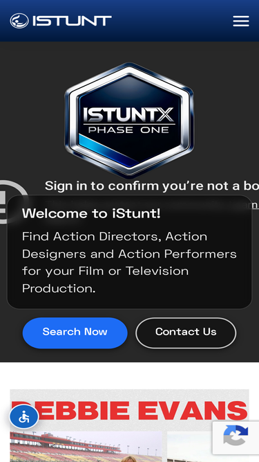 istunt.com