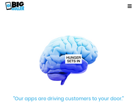 'bigholler.com' screenshot