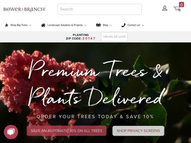 'bowerandbranch.com' screenshot