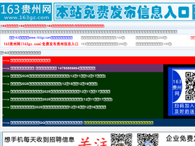 '163gz.com' screenshot