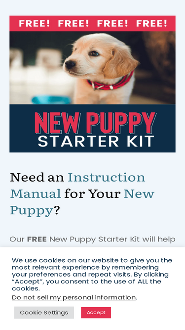 howtotrainadreamdog.com