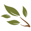 homesteadrhcc.com