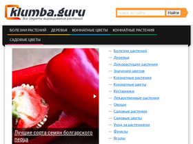 'klumba.guru' screenshot