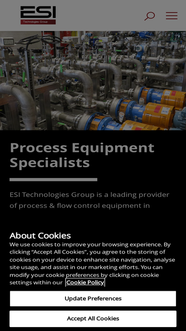 esitechgroup.com