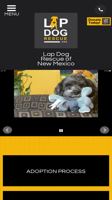 lapdogrescue.org