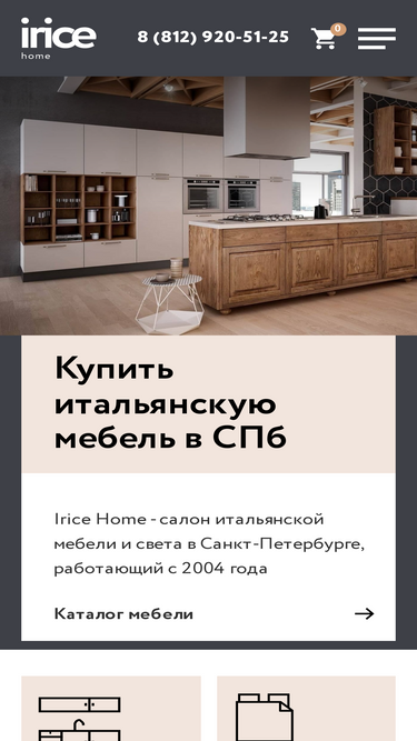 irice.ru