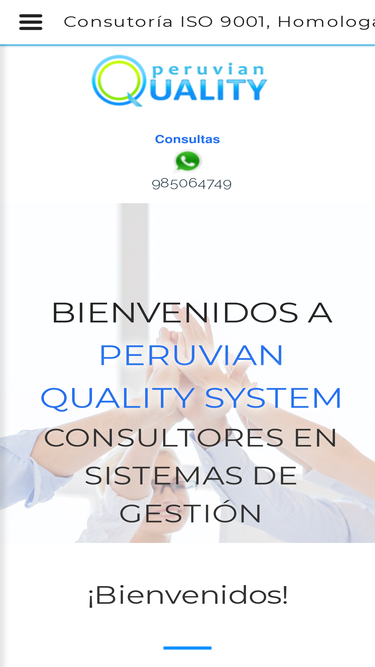 pqsperu.com
