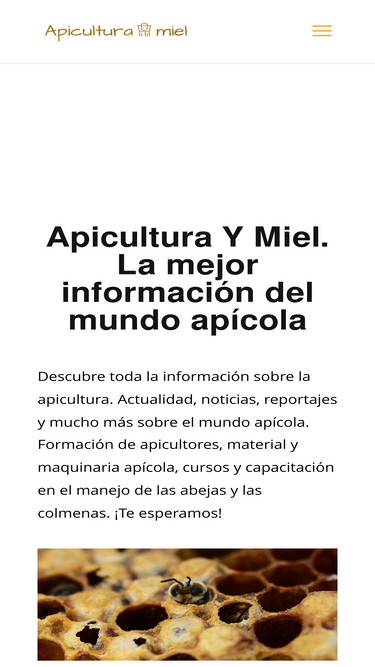 apiculturaymiel.com
