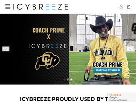'icybreeze.com' screenshot