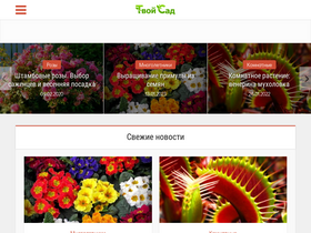 'tvoysad.ru' screenshot