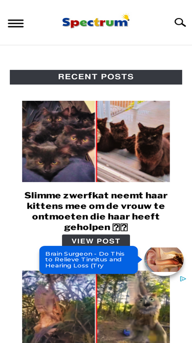 spectrummagazine.nl