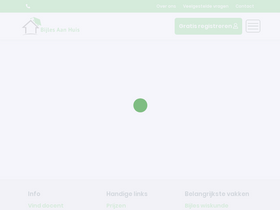 'bijlesaanhuis.nl' screenshot