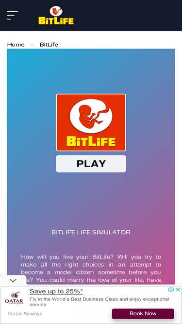 BitLife - Life Simulator Game · Play Online Free