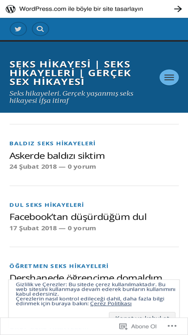 itirafsekshikayeleri.wordpress.com