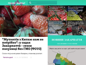 'goloskarpat.info' screenshot