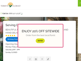 'terrysflorist.com' screenshot