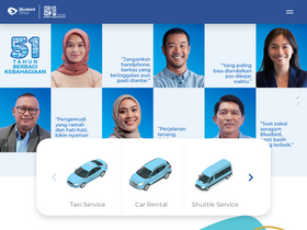 'bluebirdgroup.com' screenshot
