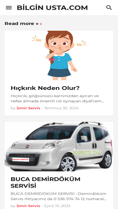 bilginusta.com