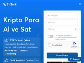 bitturk.com