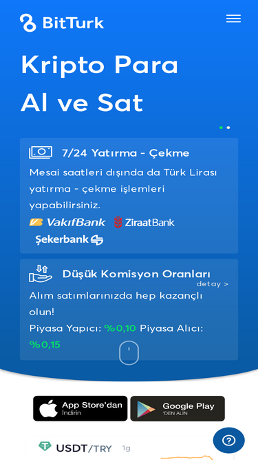 bitturk.com