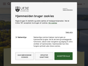 'vejle.dk' screenshot