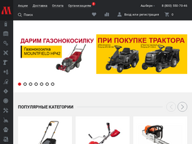 'masterts.ru' screenshot