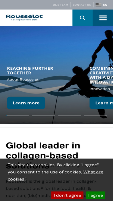rousselot.com