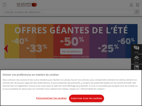 'geant-beaux-arts.fr' screenshot