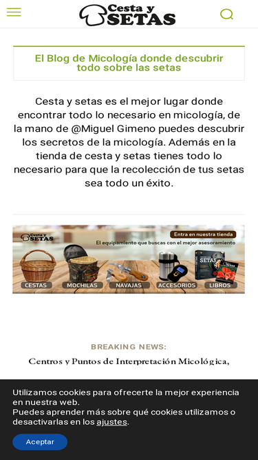 cestaysetas.com