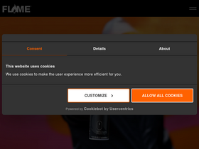 flame-paint.com