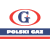 polskigaz.pl