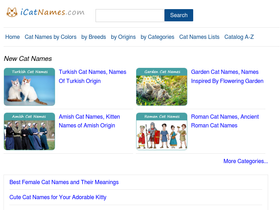 icatnames.com