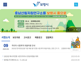 'brcn.go.kr' screenshot