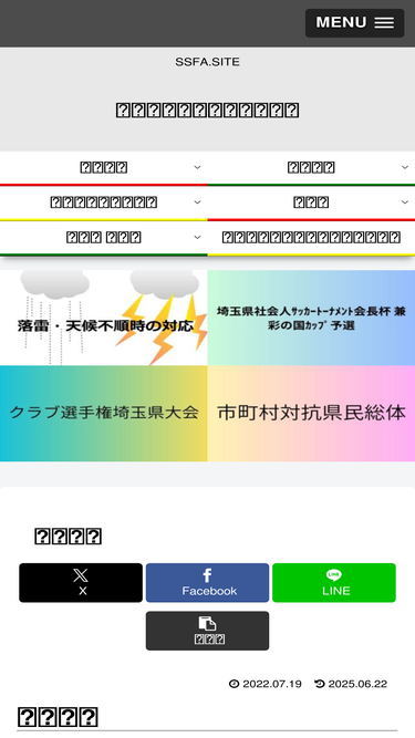 ssfa.site